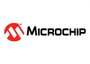 Microchip